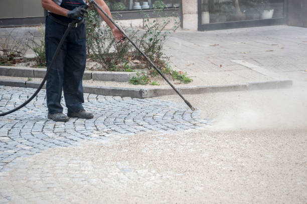 Best Gutter Cleaning  in Eldorado, TX